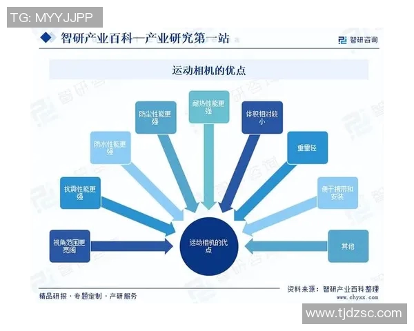 运动项目的多元发展与创新趋势分析及未来前景展望